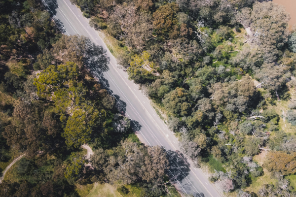 birds eye view of the road